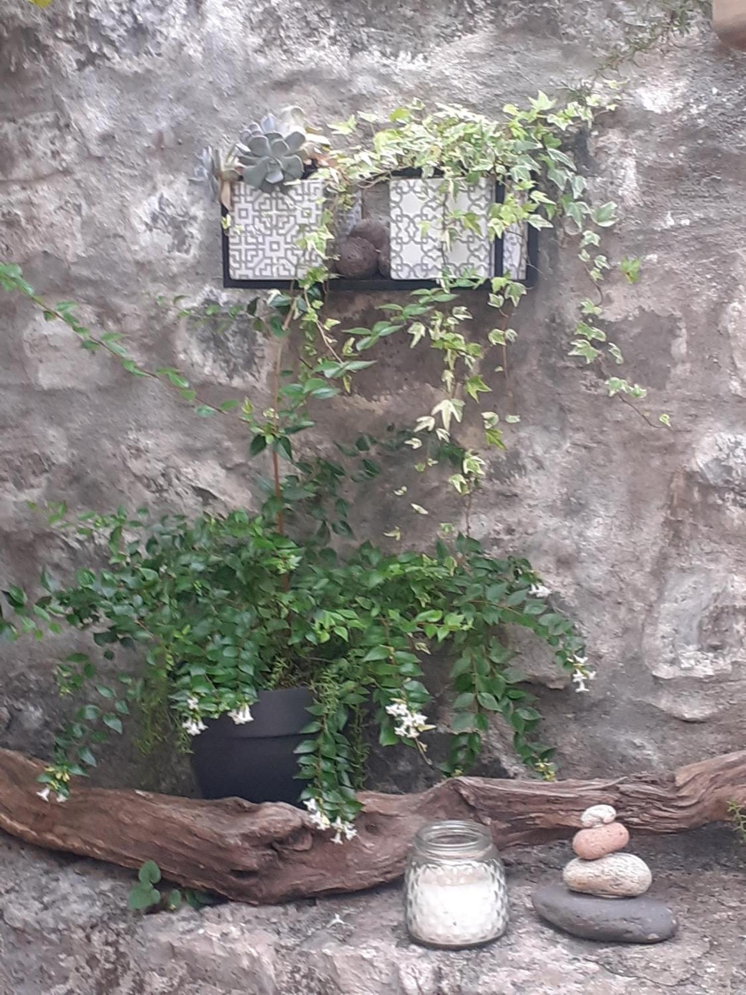 SOUS LE TILLEUL à RUOMS Esterno foto