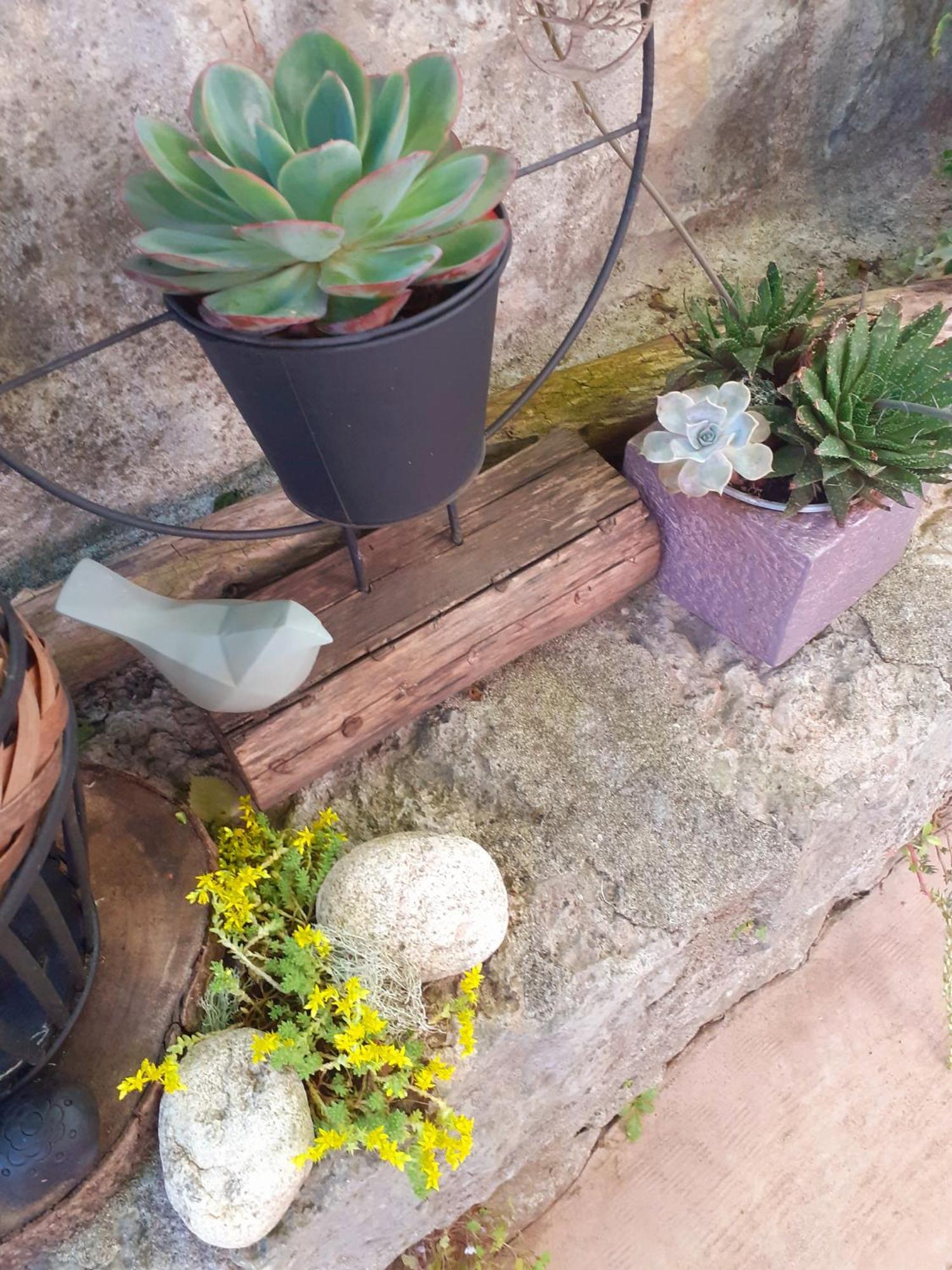 SOUS LE TILLEUL à RUOMS Esterno foto